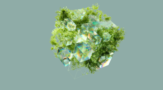 Starite Newsletter · February 2026